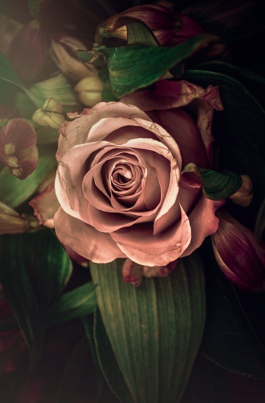 Wrinkles of life experience