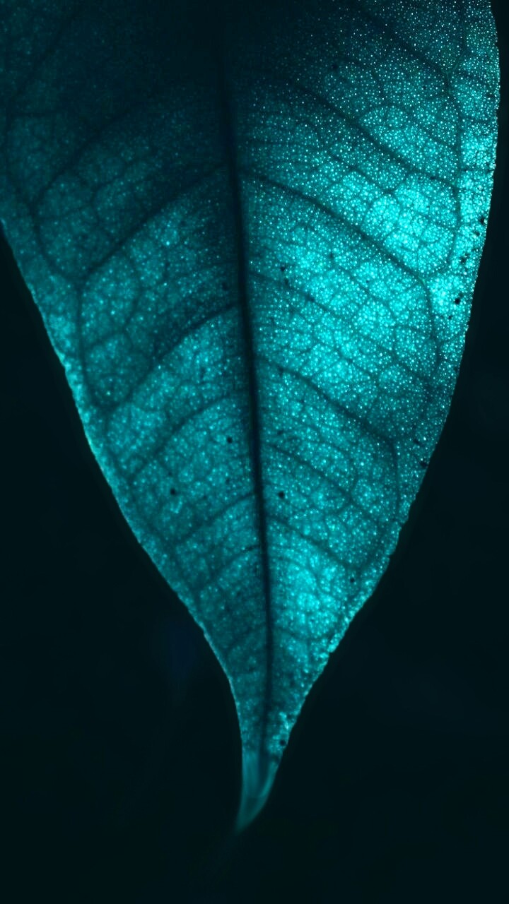 leave