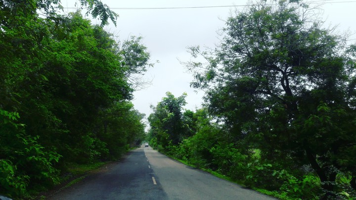 Way to POLO FOREST