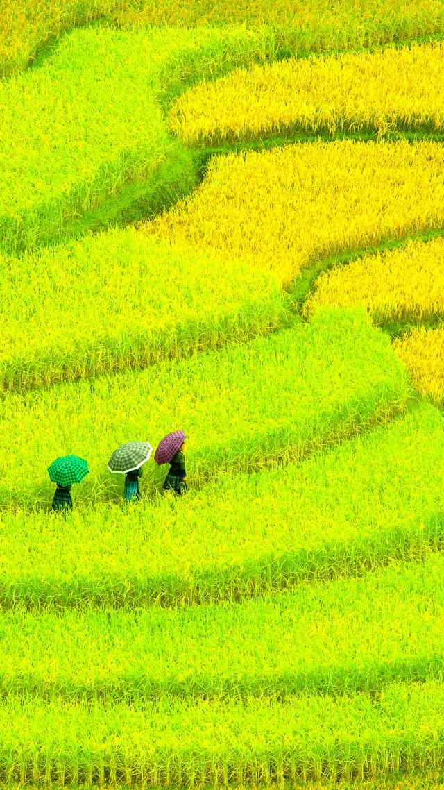 green