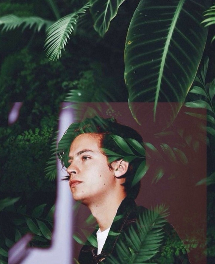 oh you so handsome