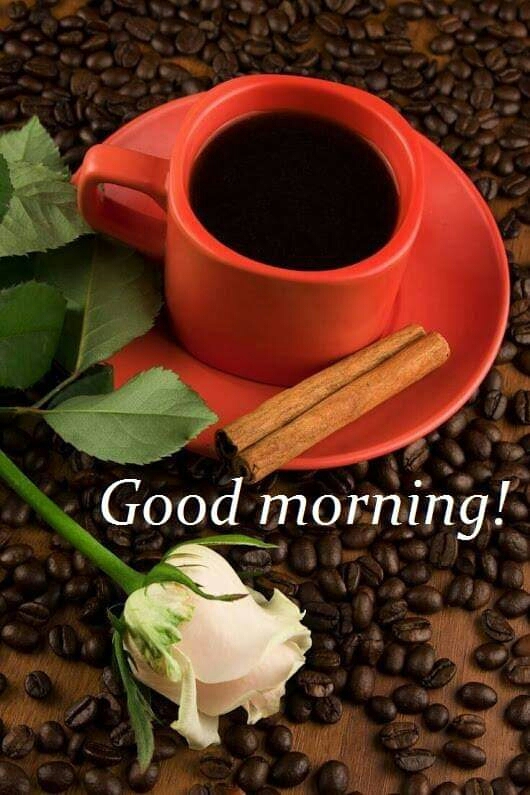 ☕☕☕