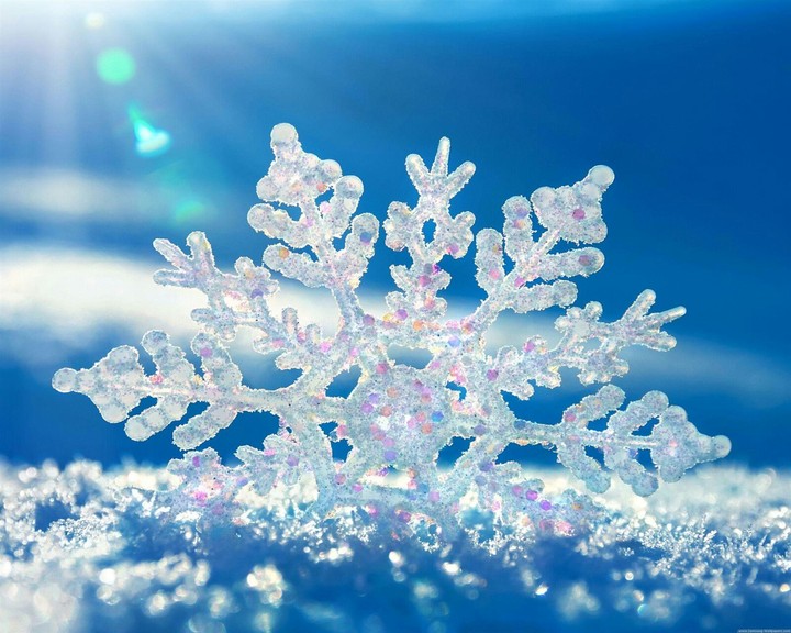 frozen