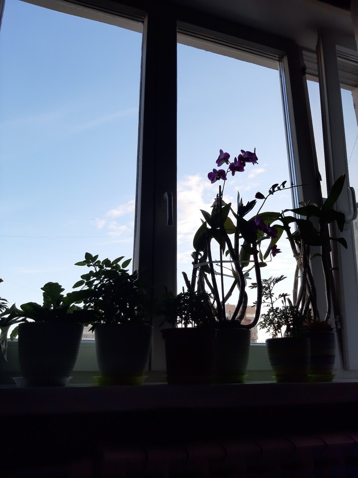 sky