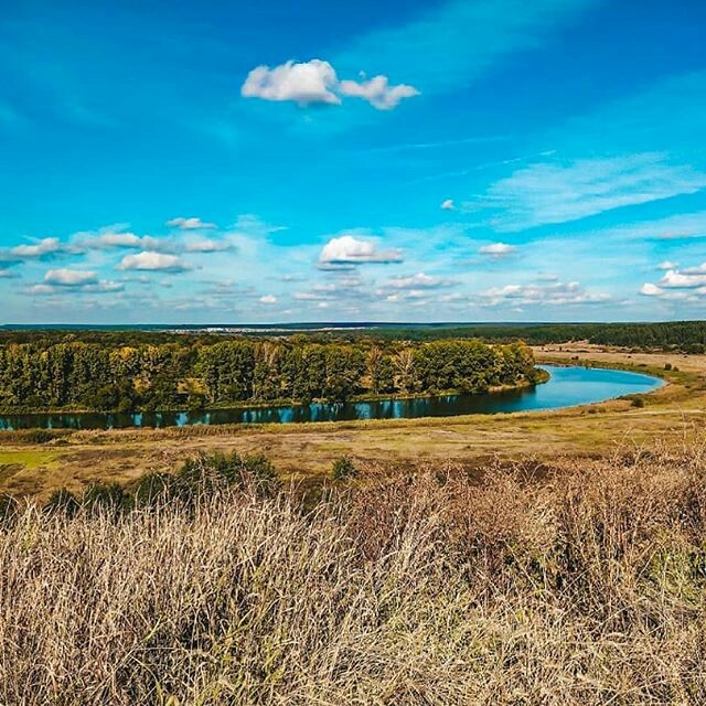 Nature