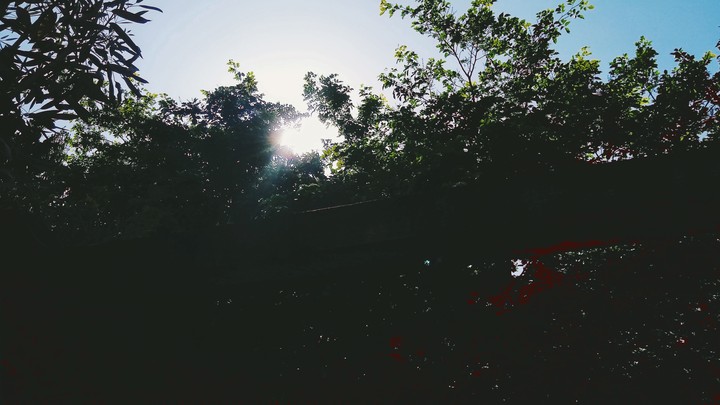 Sun kiss