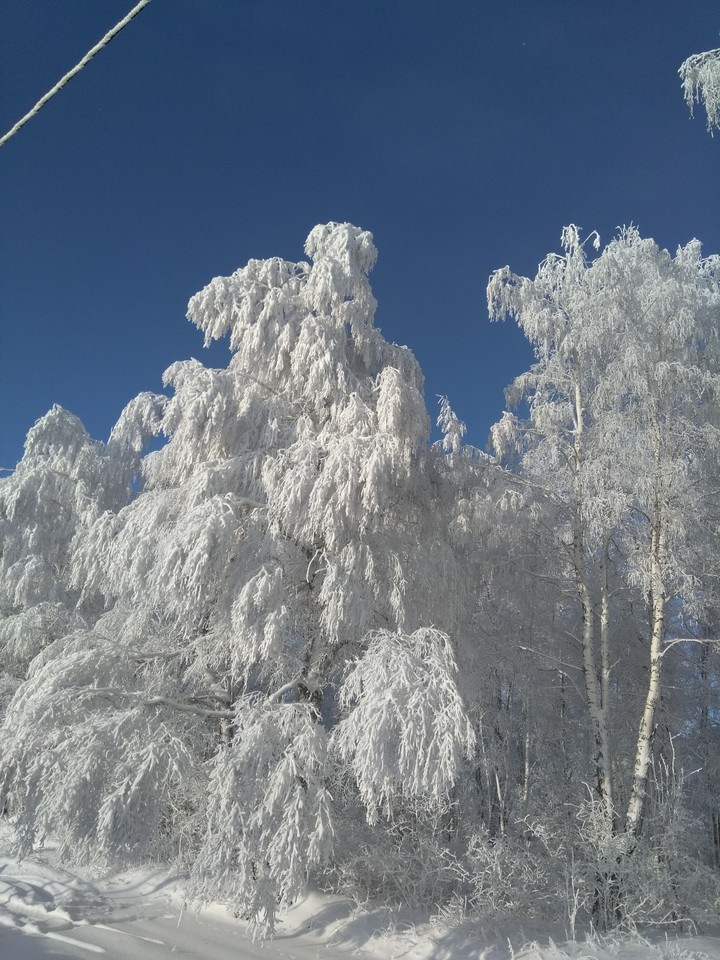 Зимние красоты 5
