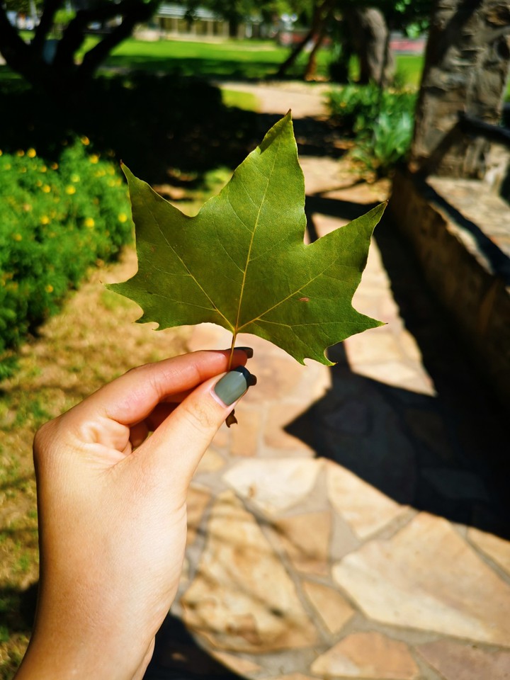 Nature at its best
