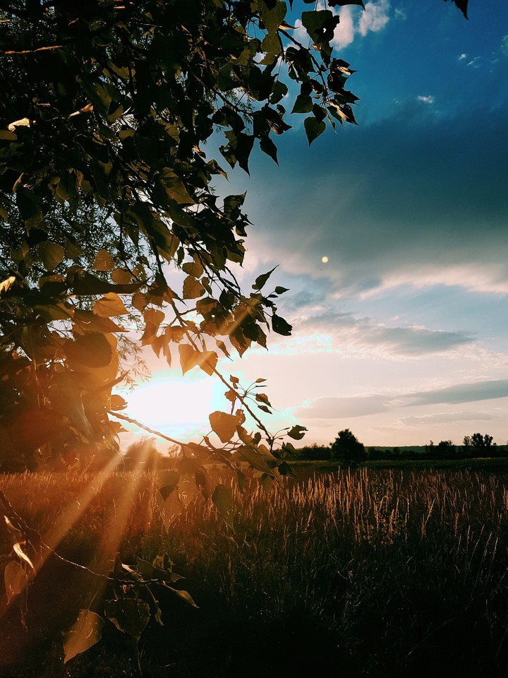 sunset..