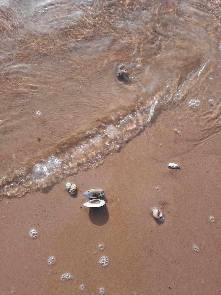 sea