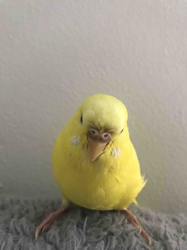 just me relaxing