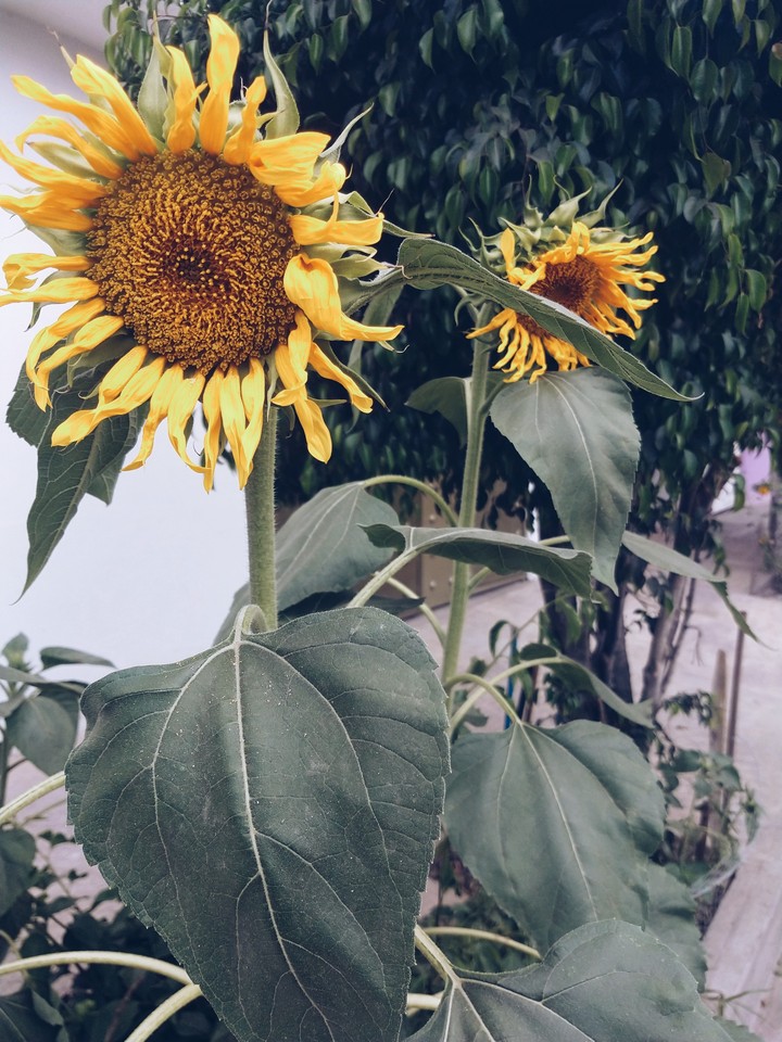 naturaleza
