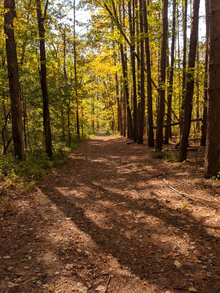 well worn path