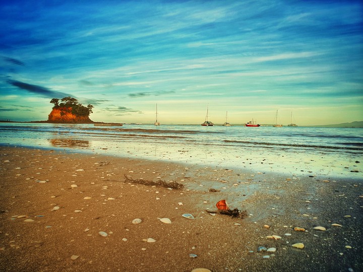 little island, NZ