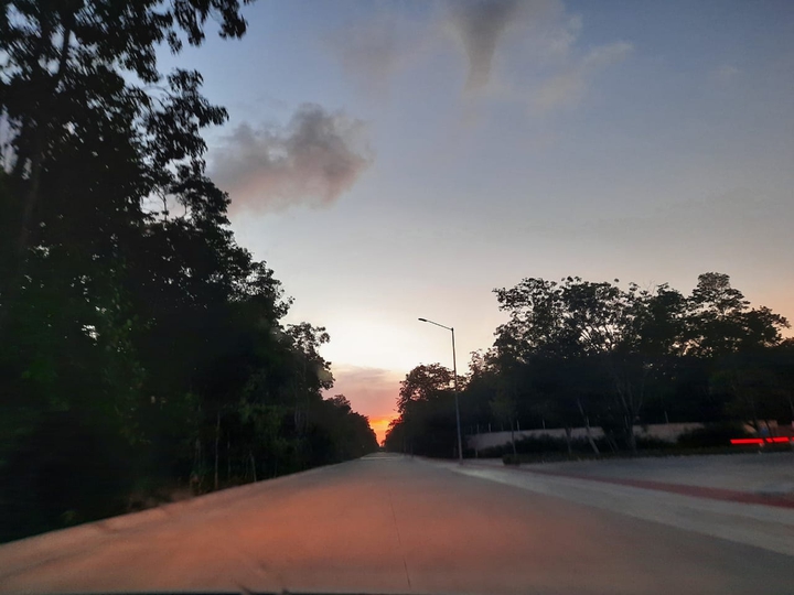 camino