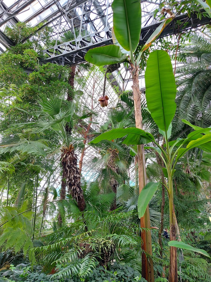 Botanical Garden