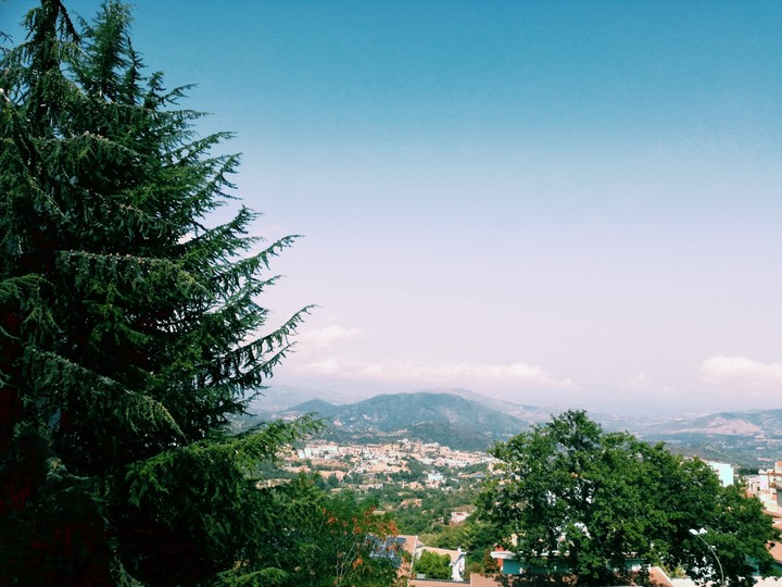 Landscape