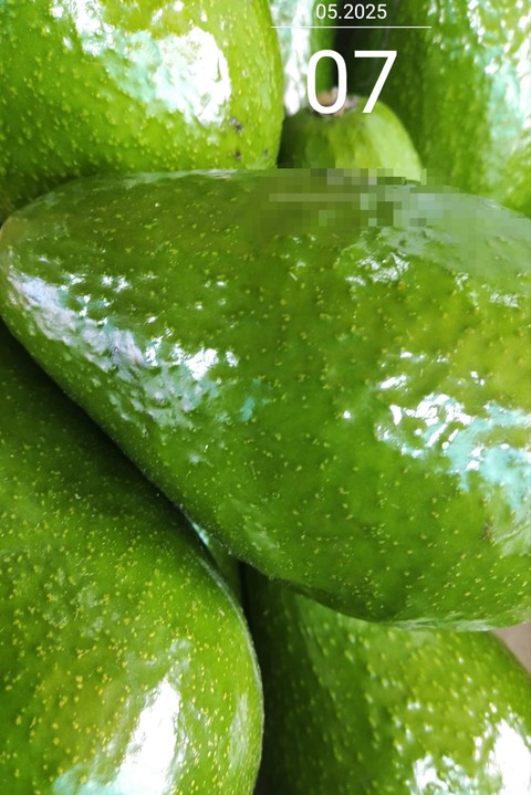 fruit, vegetable wallpapers
