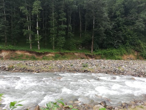 тапети wilderness, biome