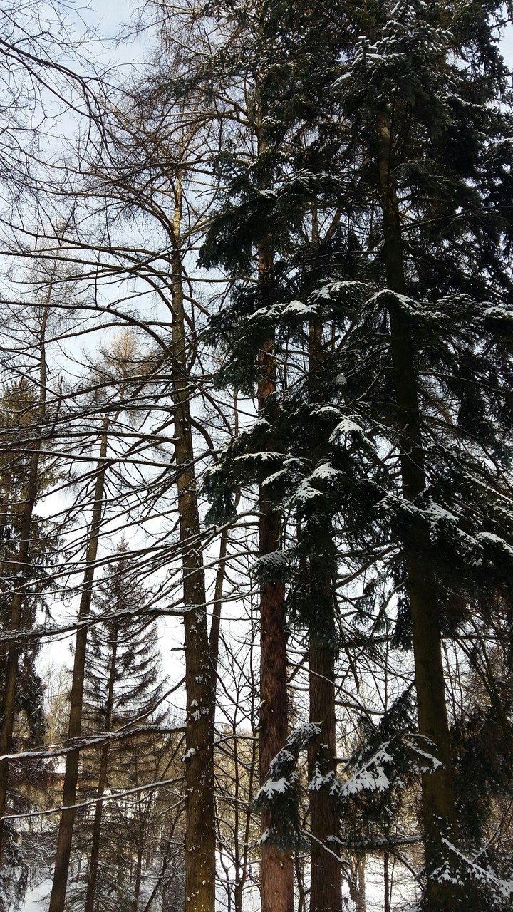 just winter