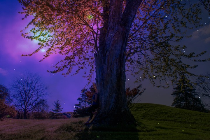 Amazing...