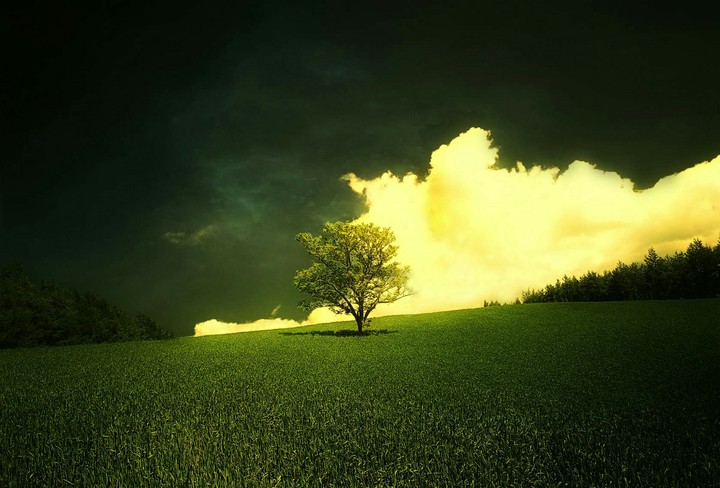 Alone