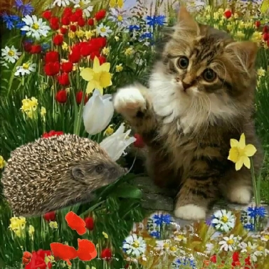 Ёжик и котёнок.