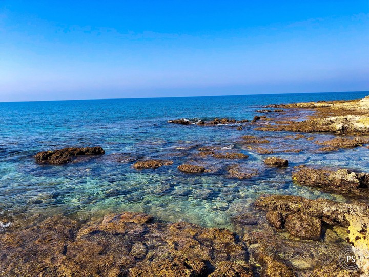 sea
