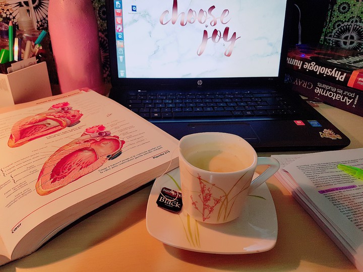 studying