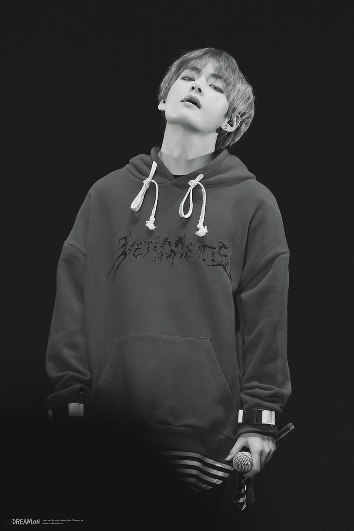 Kim Taehyung (V)