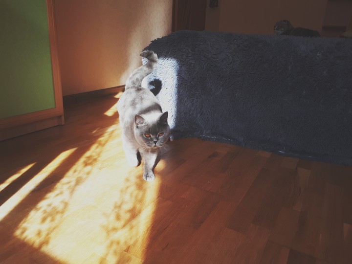 ♡