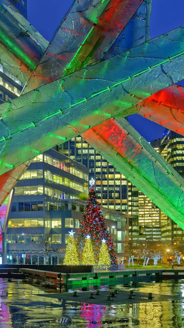 Sharing Xmas scape