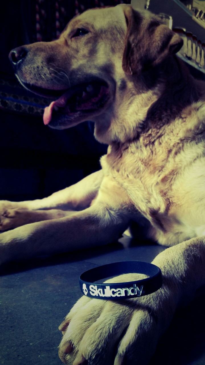he is cena and he love skull  ☠