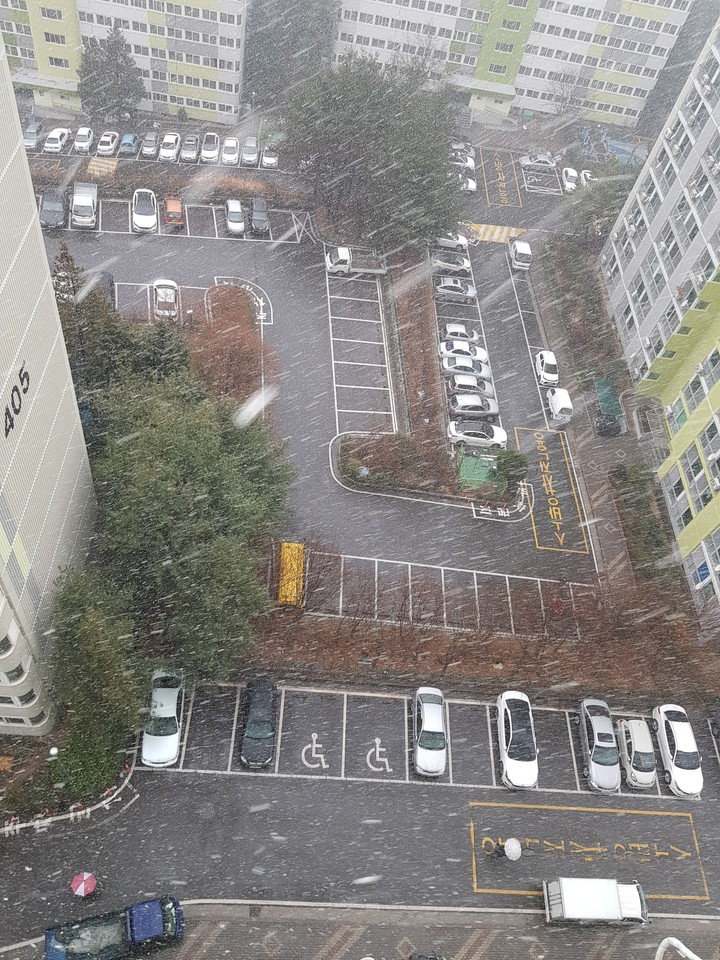 모처럼 부산에 눈이오네