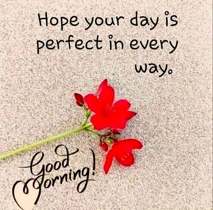 gm