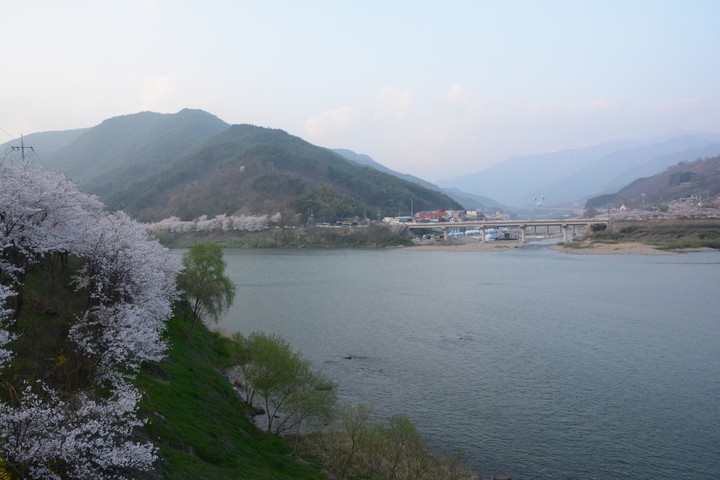 구례의봄이미지