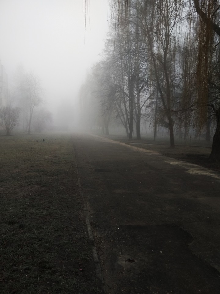 fog_Grodno_2