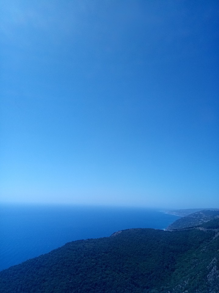 Mavi