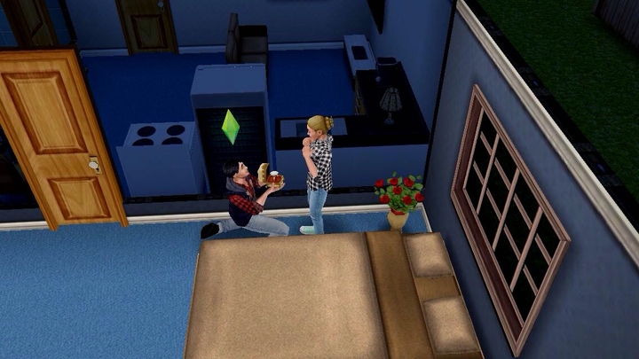 Sims