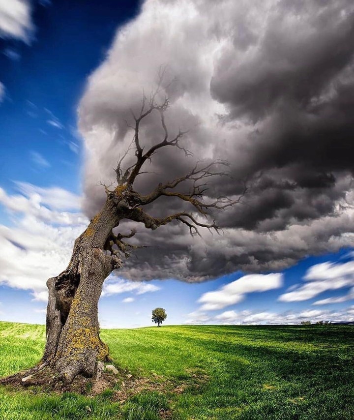 PERFECT TIMING