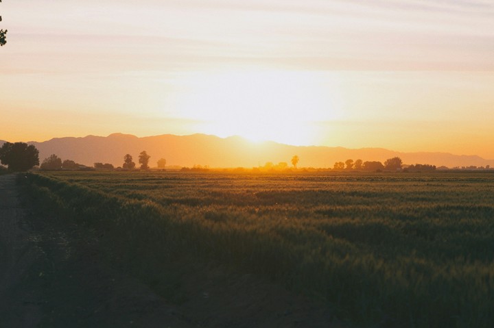 rising sun