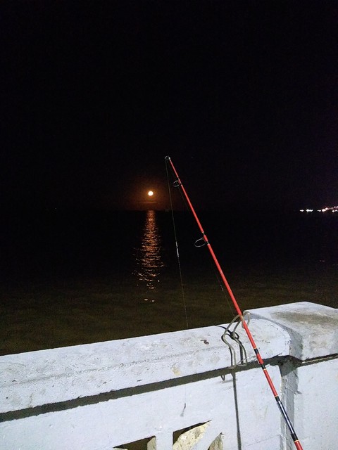 noche de pesca