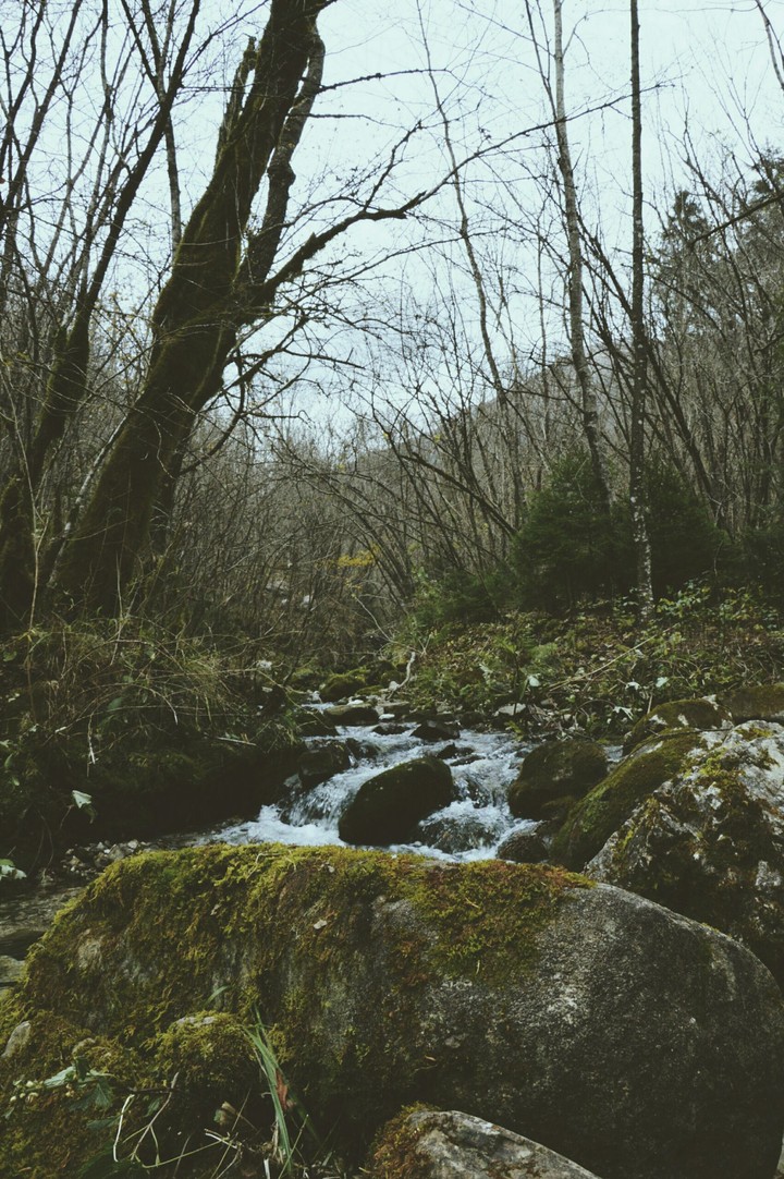 Relaxin' moment in Friuli