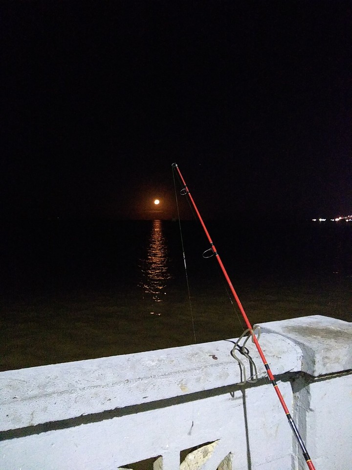 noche de pesca