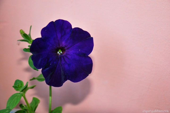 for u