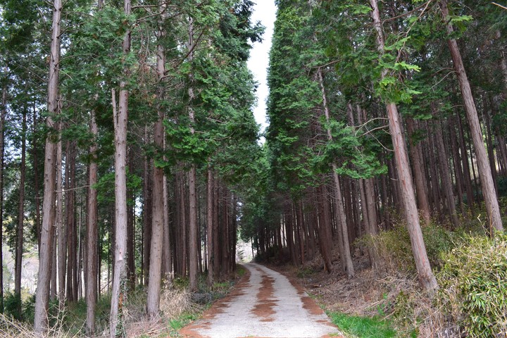 영취산이미지