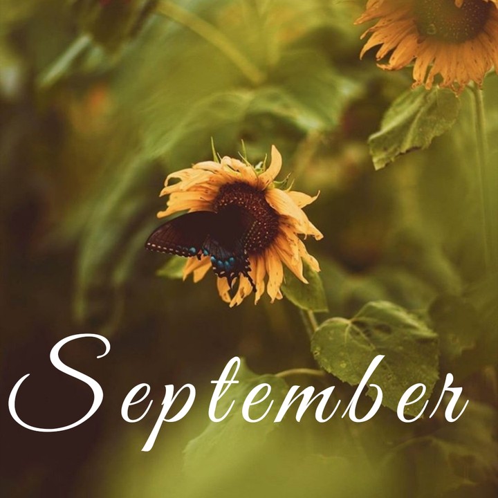 September,2019