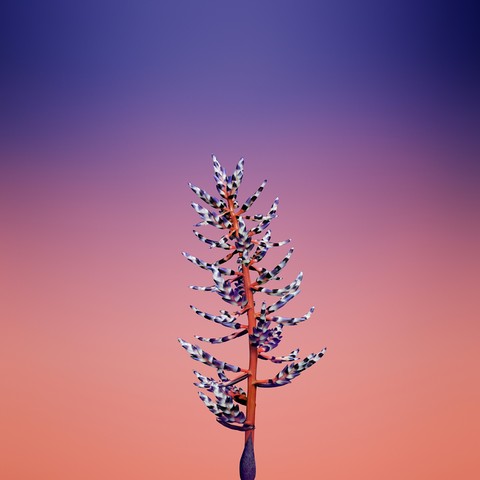 make your screen beautiful...