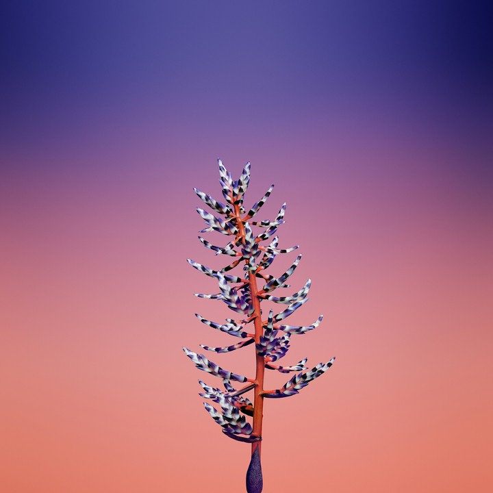 make your screen beautiful...