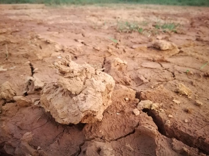 Clay Rock